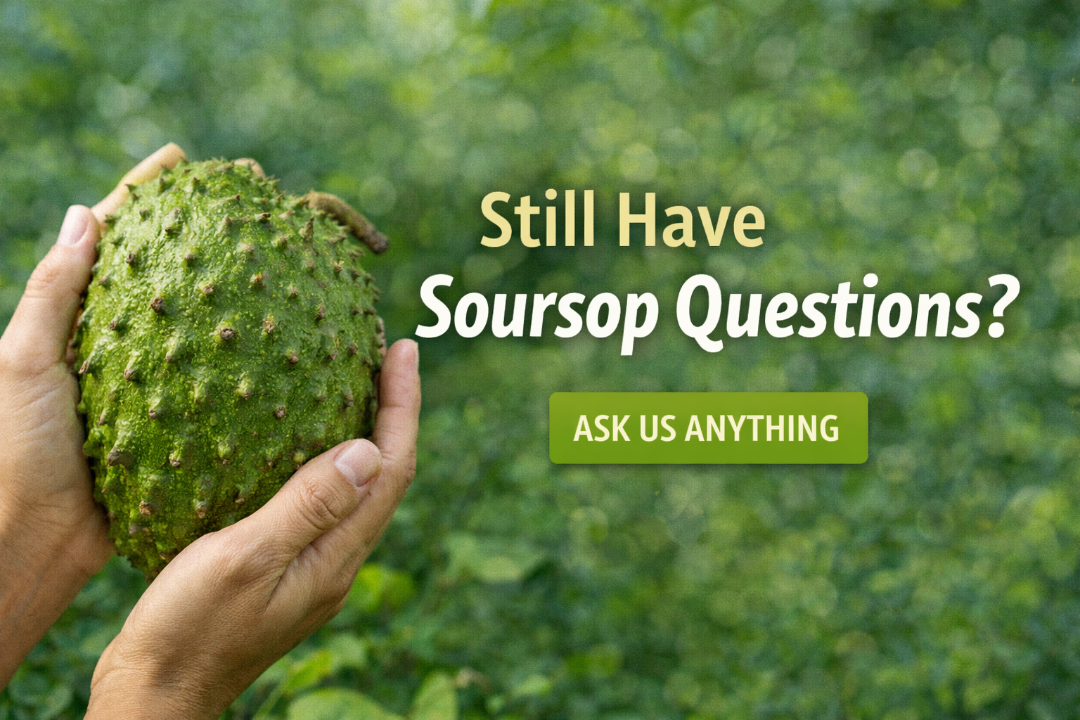 Hands holding fresh soursop fruit with text inviting questions about soursop